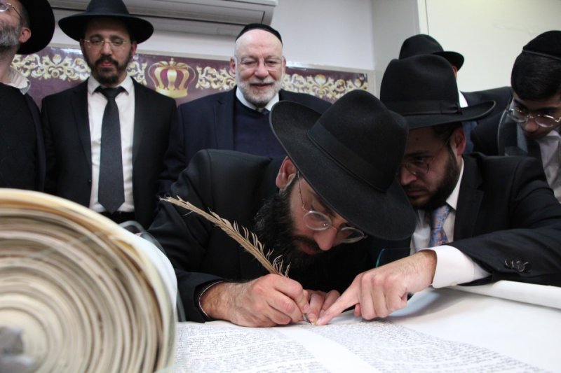 דודי קליין