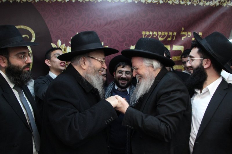 דודי קליין