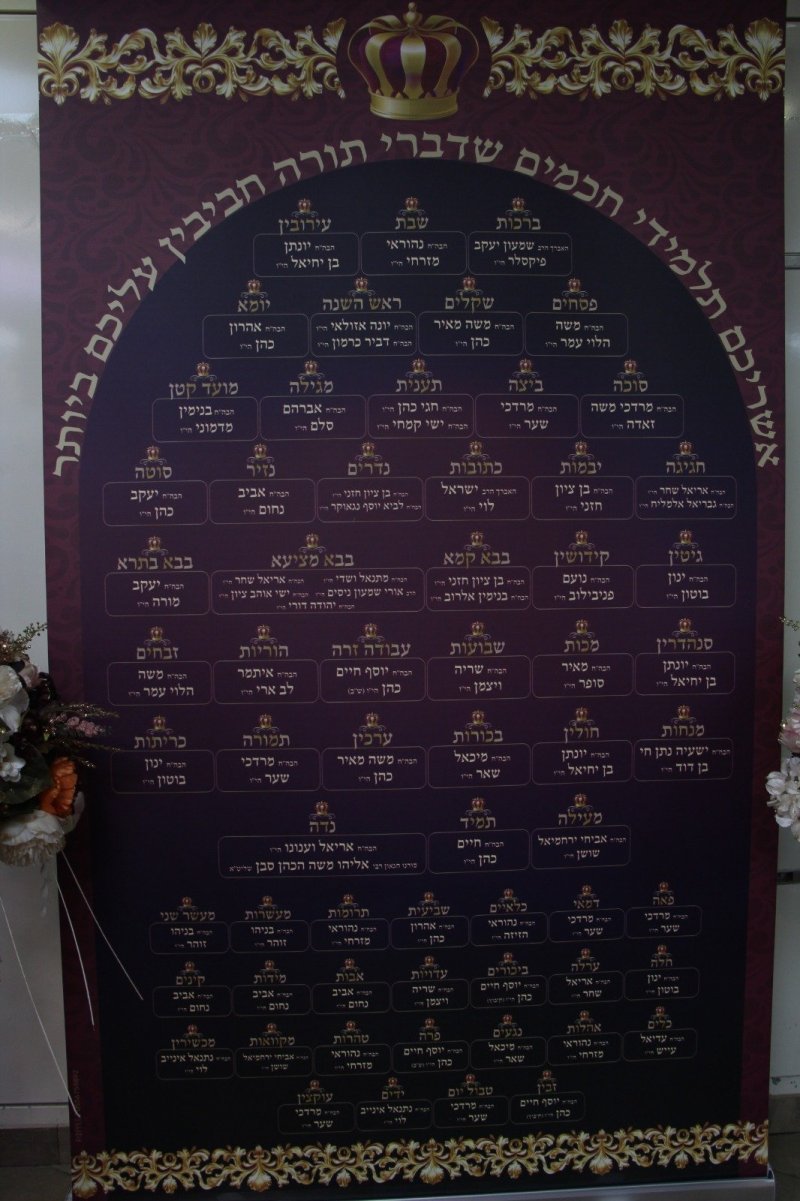 דודי קליין