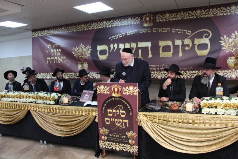 דודי קליין