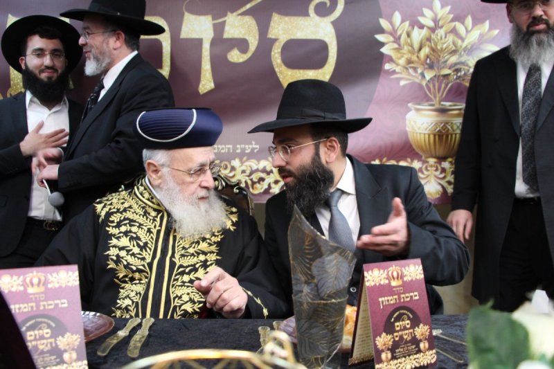 דודי קליין