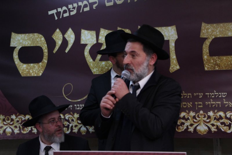 דודי קליין