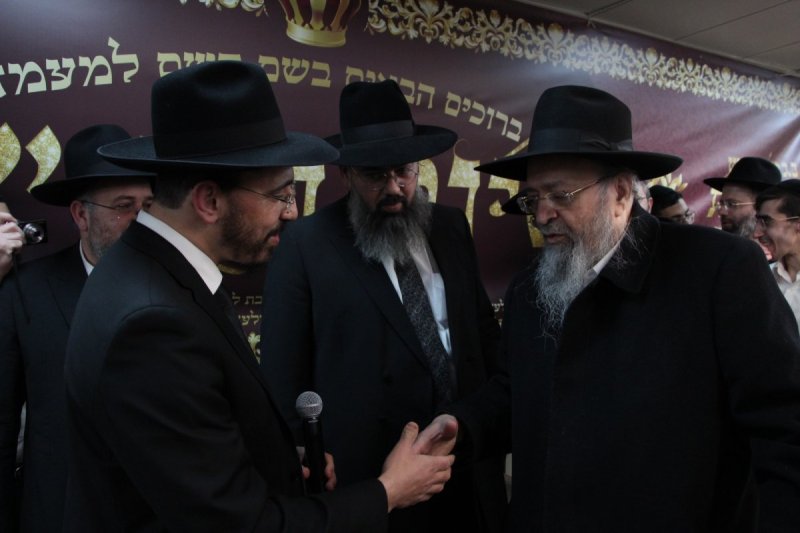 דודי קליין