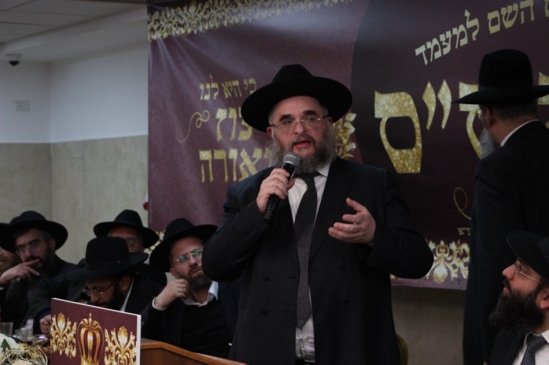 דודי קליין