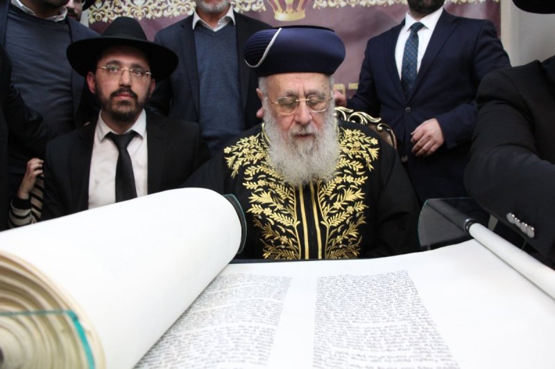 דודי קליין
