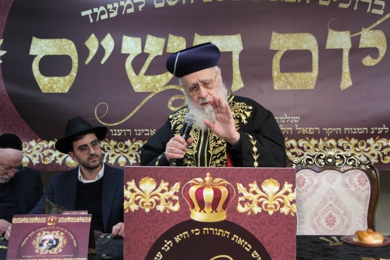 דודי קליין
