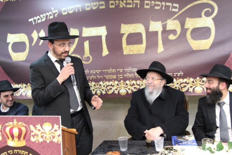 דודי קליין