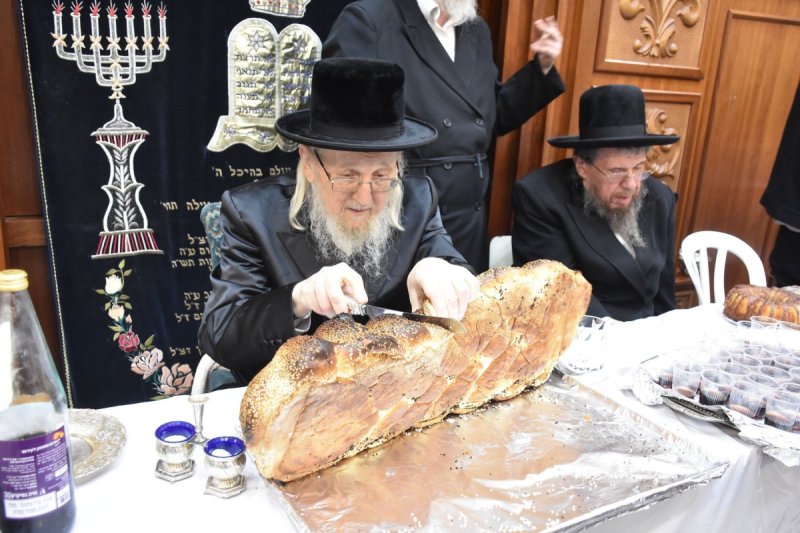 יהודה פרקוביץ