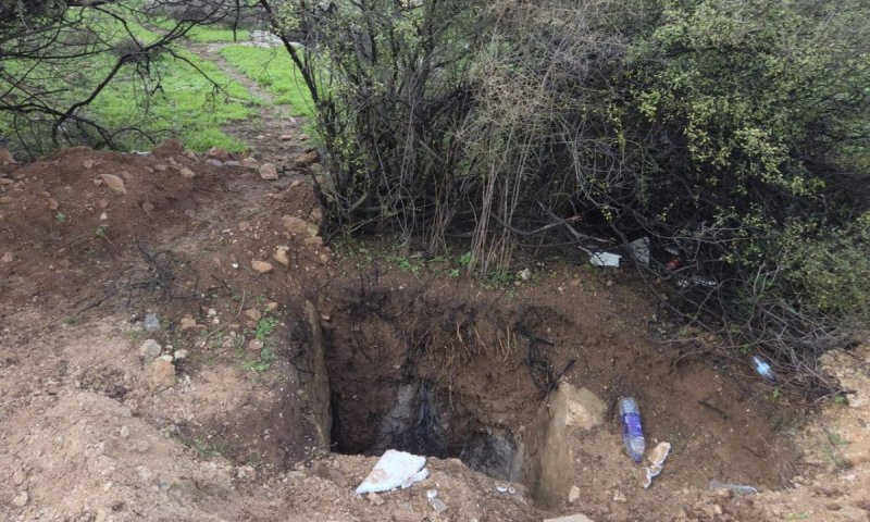 ניר דיסטלפלד, היחידה למניעת שוד ברשות העתיקות