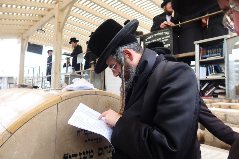 שימי פ.