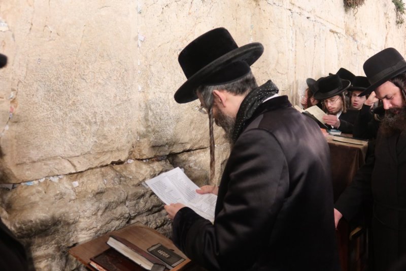 שימי פ.
