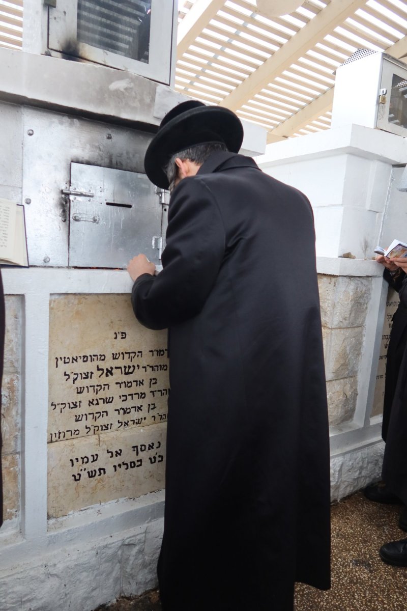 שימי פ.