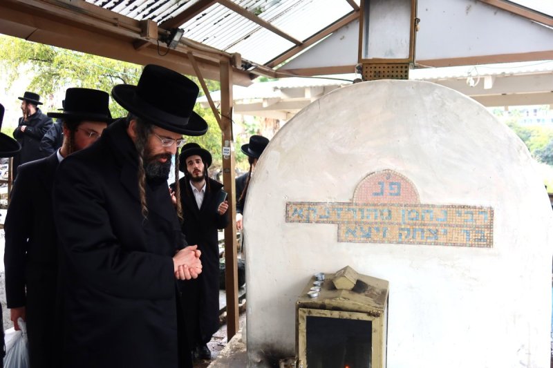 שימי פ.