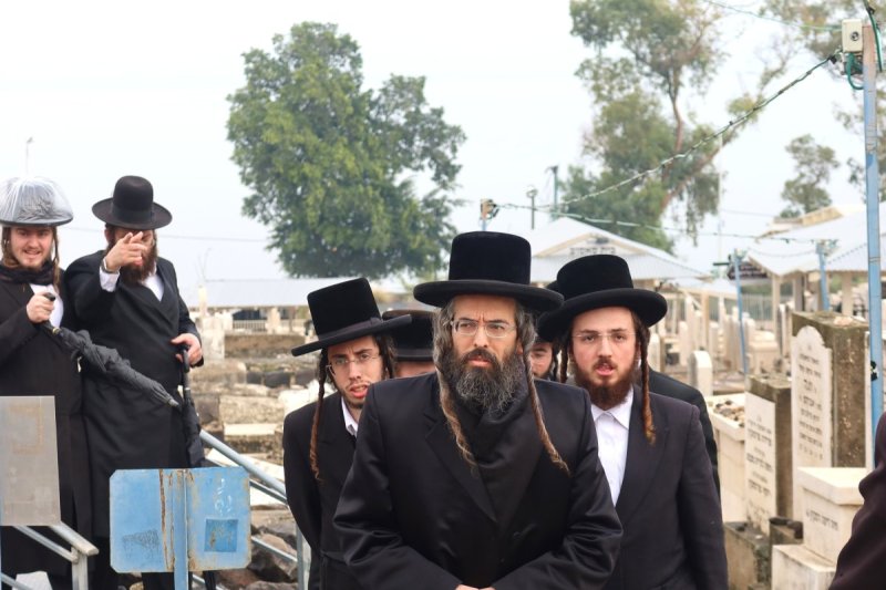 שימי פ.