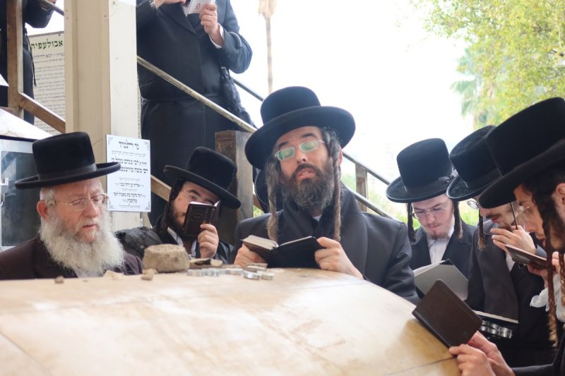 שימי פ.