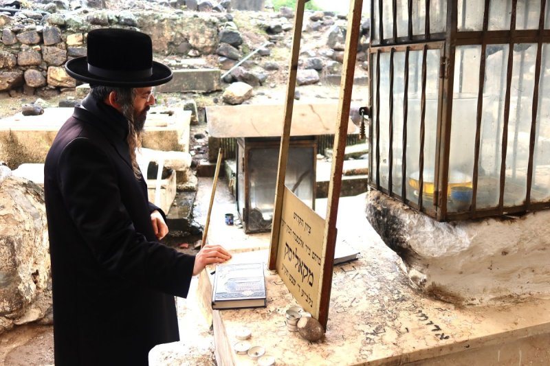 שימי פ.
