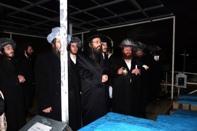 שימי פ.