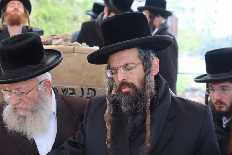 שימי פ.