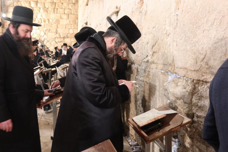 שימי פ.