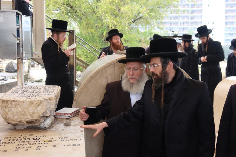 שימי פ.