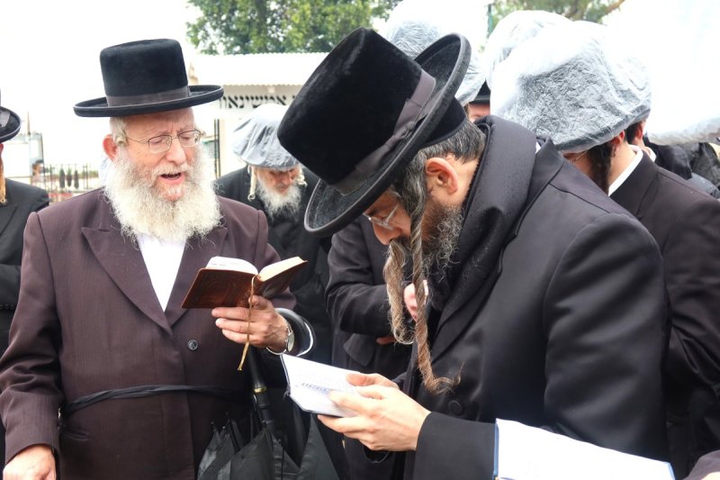 שימי פ.