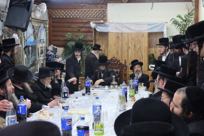 שימי פ.