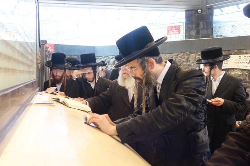 שימי פ.