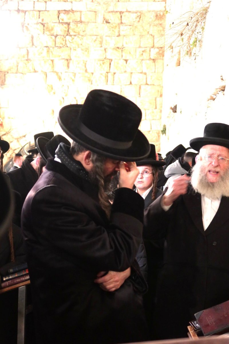 שימי פ.