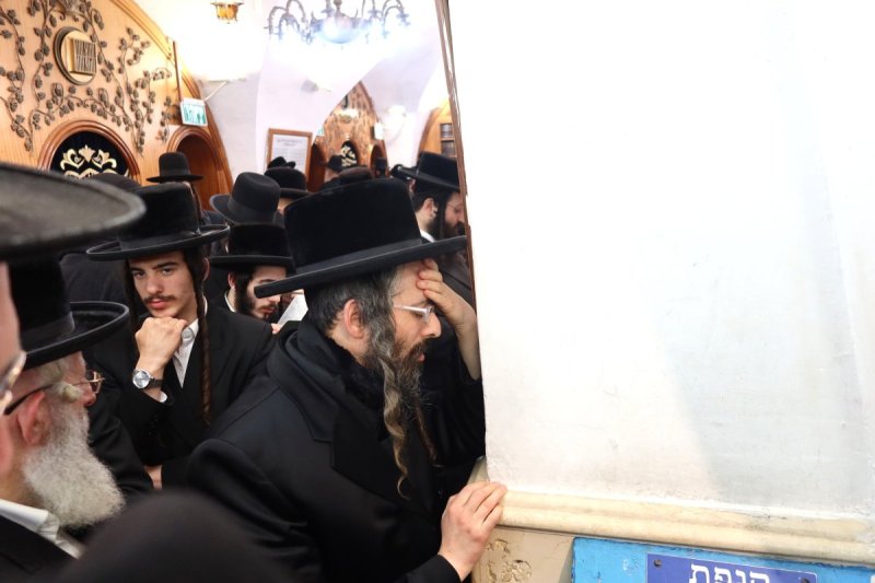 שימי פ.