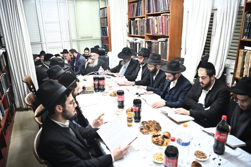 שוקי לרר