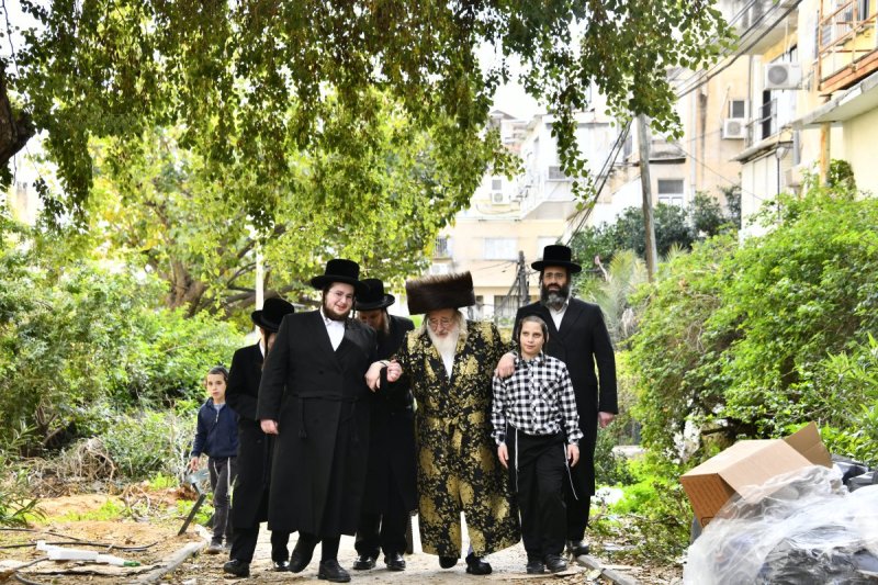 שוקי לרר