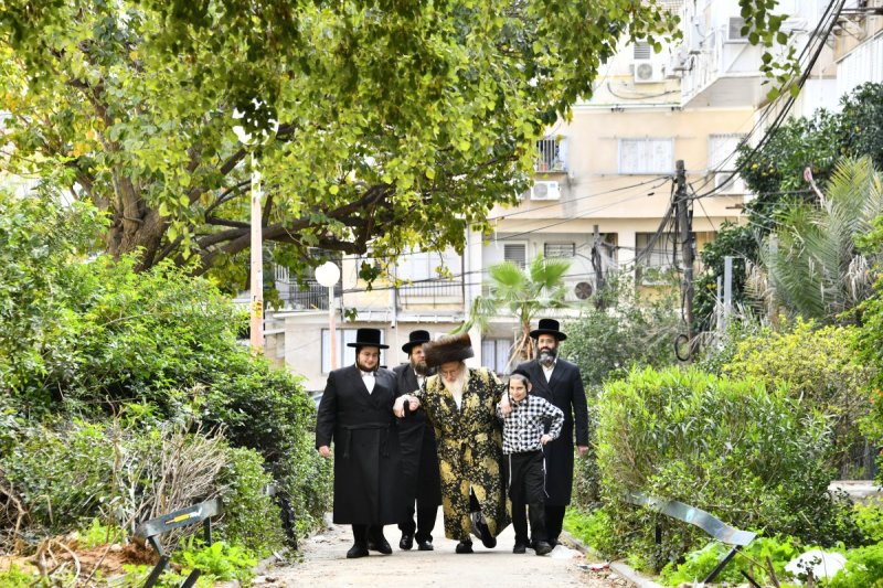 שוקי לרר