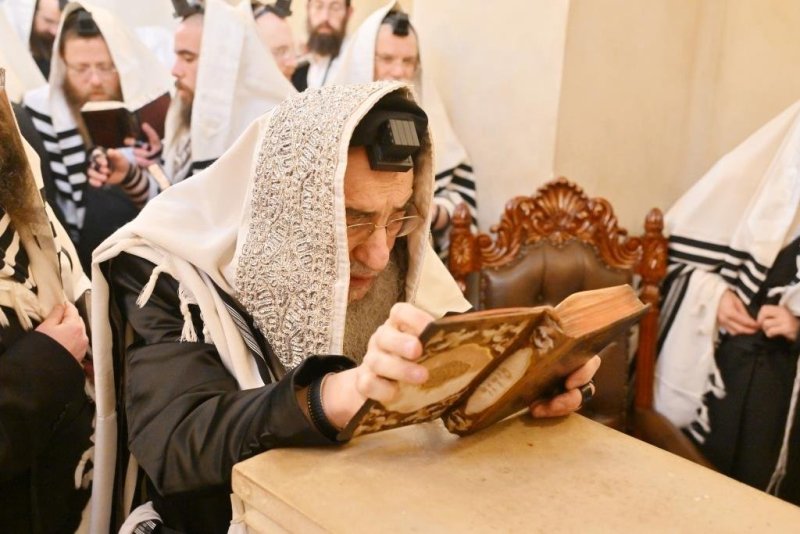 יהושע פרוכטר