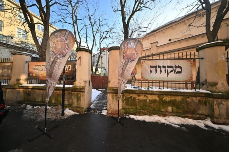 יהושע פרוכטר