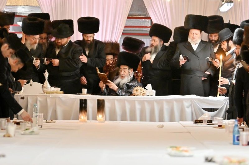 יהושע פרוכטר