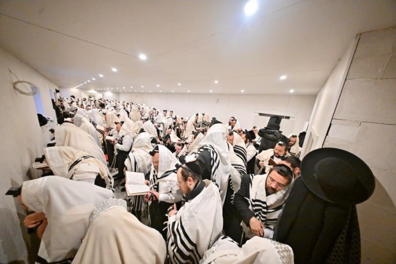 יהושע פרוכטר