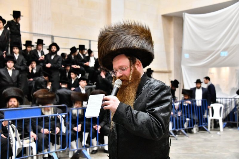 שוקי לרר