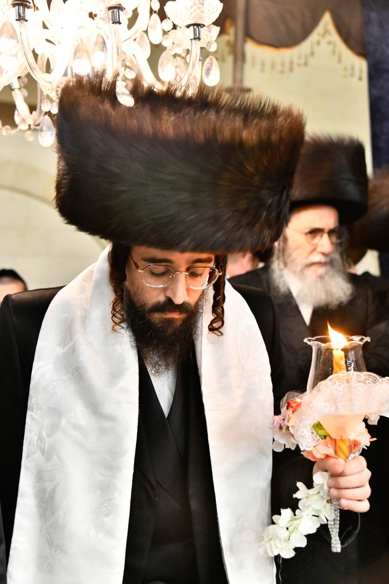 שוקי לרר