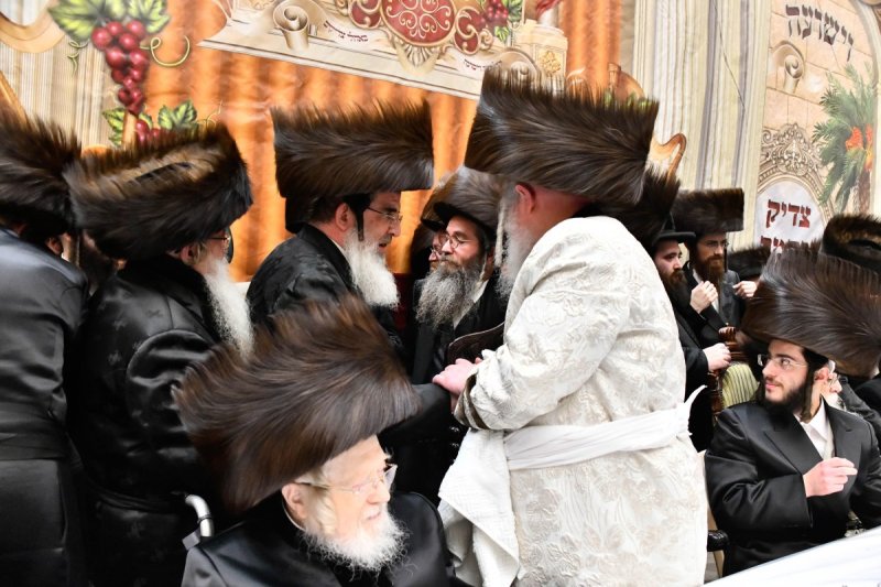 שוקי לרר