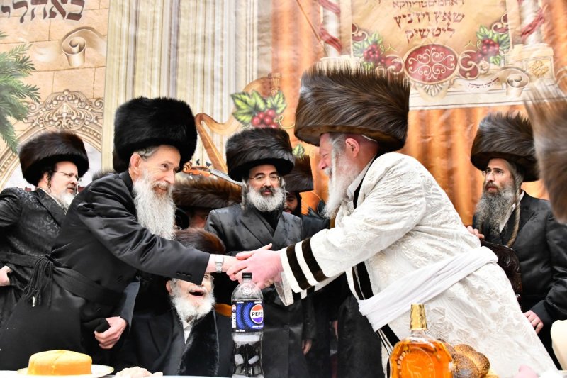 שוקי לרר