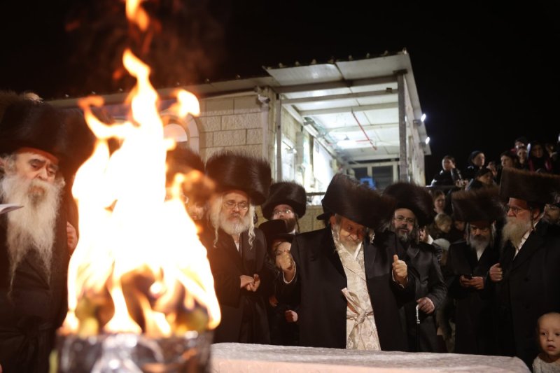 דוד כהן
