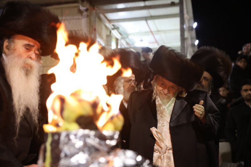 דוד כהן
