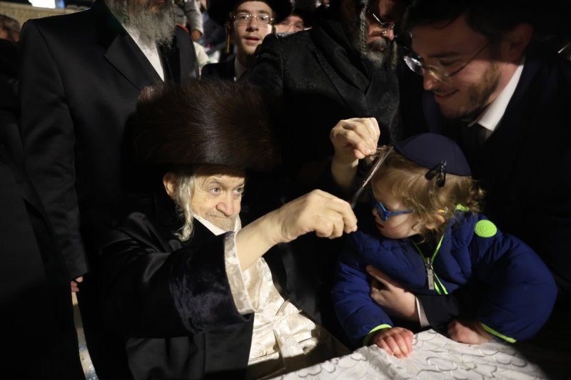 דוד כהן