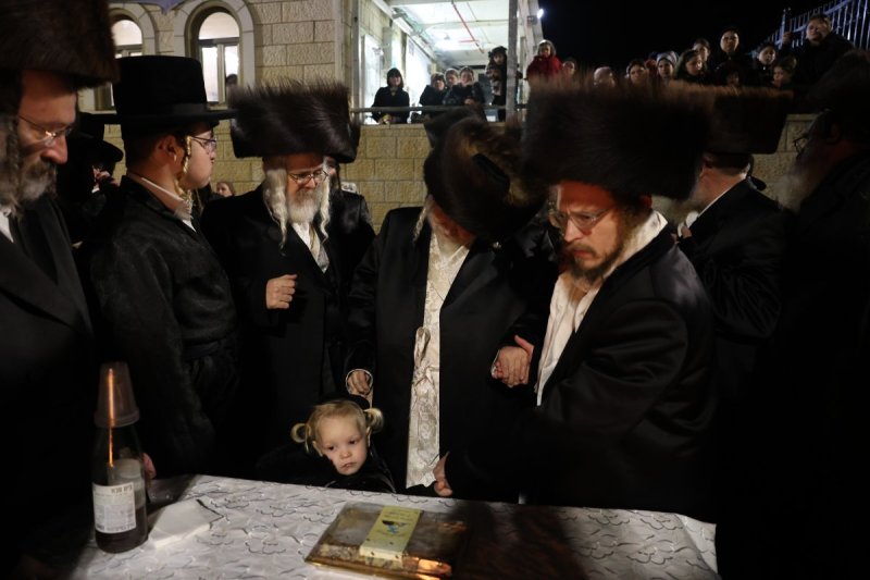 דוד כהן