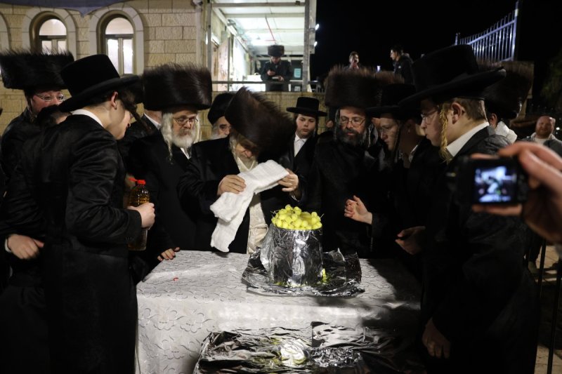 דוד כהן