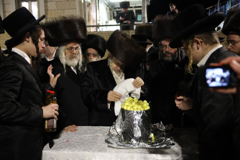 דוד כהן