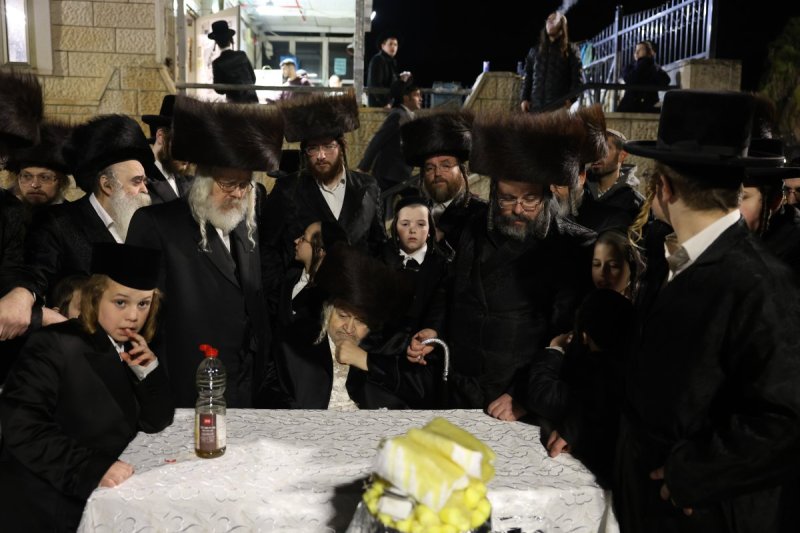 דוד כהן