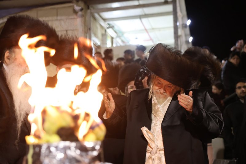 דוד כהן
