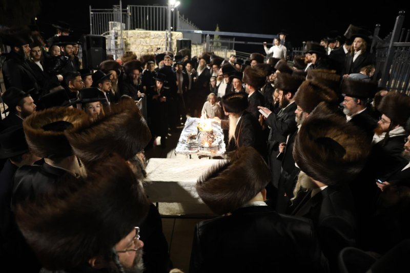 דוד כהן