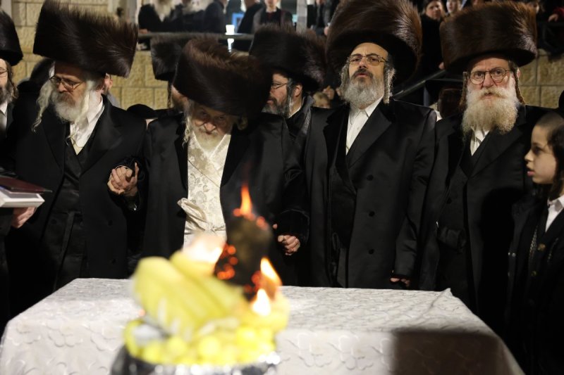 דוד כהן